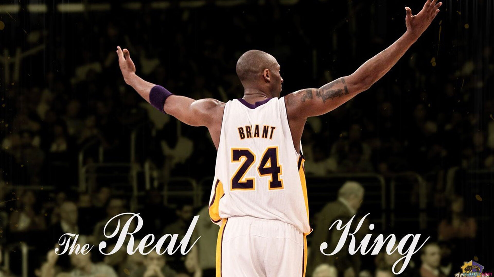 国家篮球联盟治理结构优化,国家篮球联合会